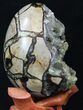 Septarian Dragon Egg Geode With Calcite Crystals #33498-4